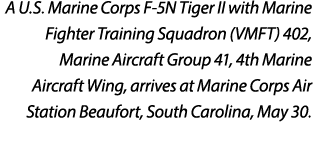 A U.S. Marine Corps F 5N Tiger II with Marine Fighter Training Squadron (VMFT) 402, Marine Aircraft Group 41, 4th Mar...